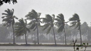 IMD Issues Heavy Rainfall Alert for Kerala, Tamil Nadu & Puducherry: New Weather System to Hit South India (Nov 10–13)
